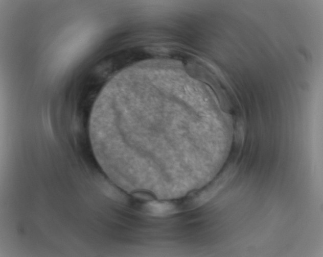 X0000113310477200910131111