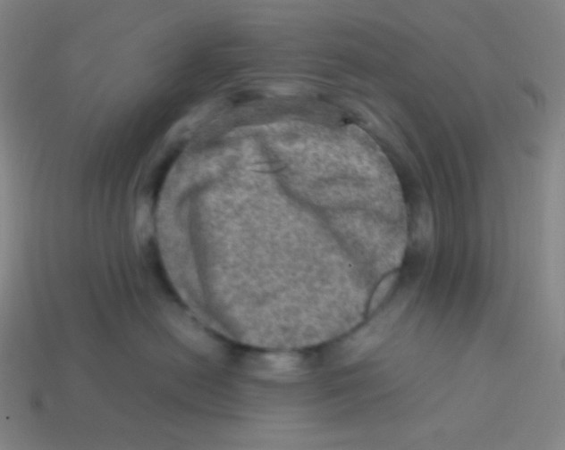 X0000113310478200910131111