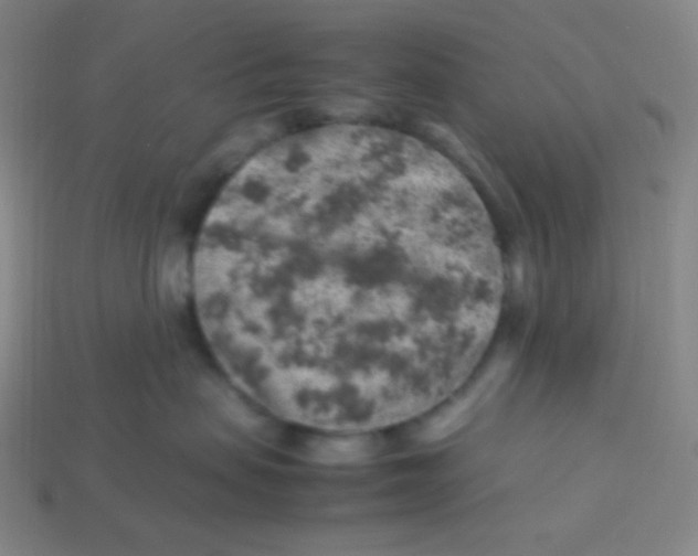 X0000113310479200910131111
