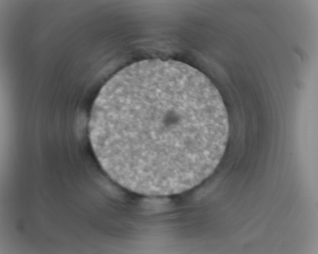 X0000113310480200910131111