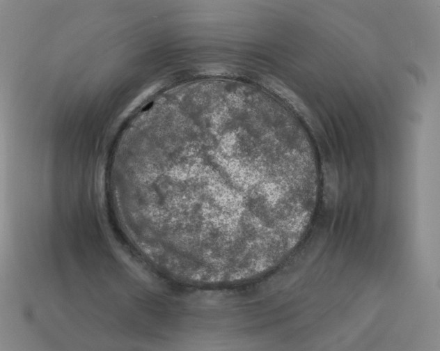 X0000113310482200910131111