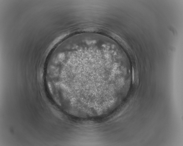 X0000113310483200910131111