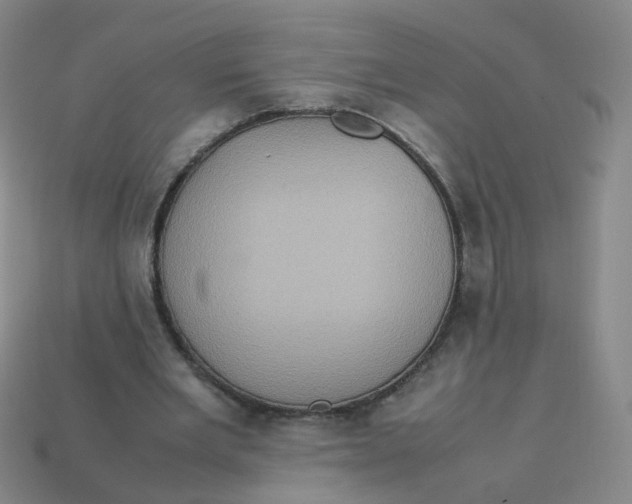 X0000113310485200910131111
