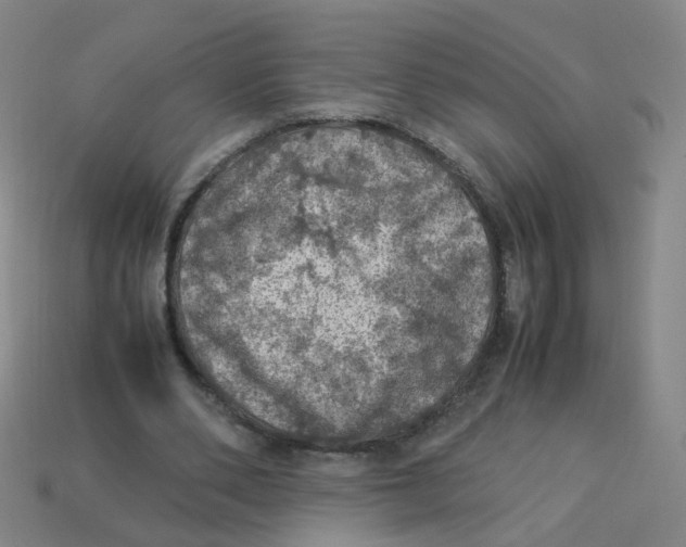 X0000113310486200910131111