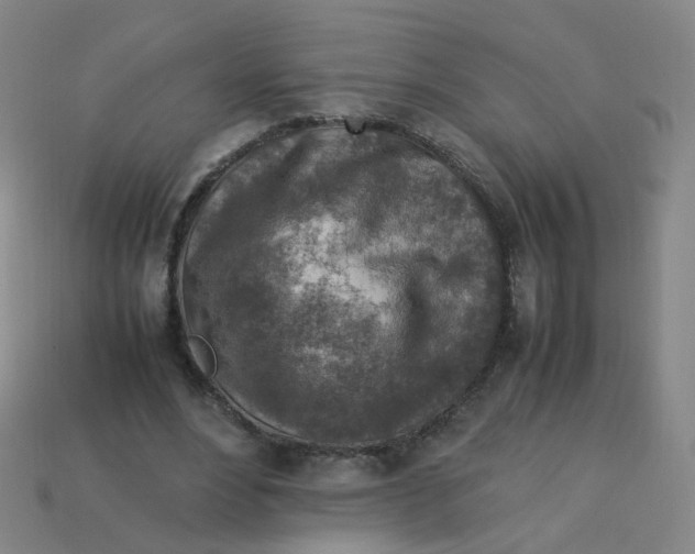 X0000113310488200910131111