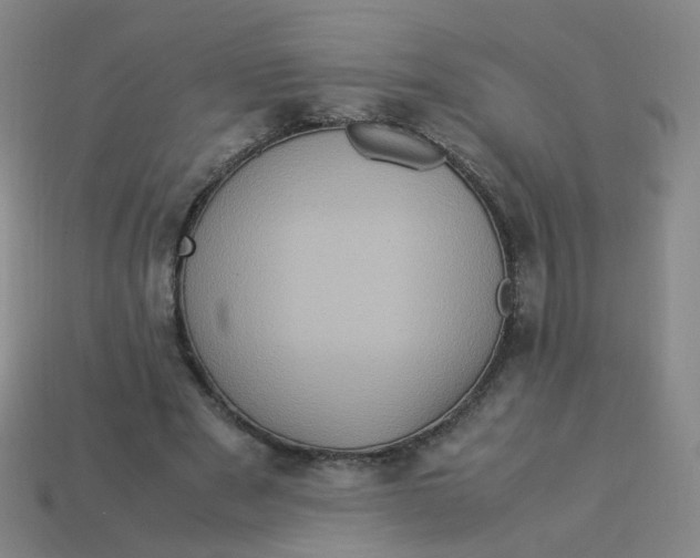 X0000113310489200910131111