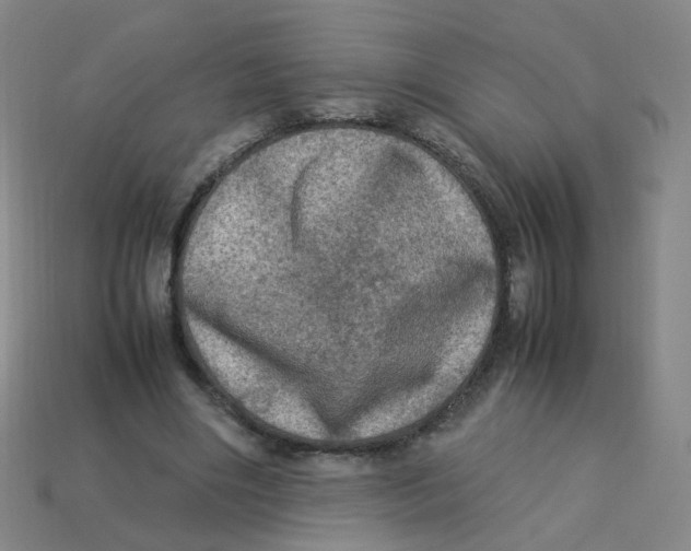 X0000113310490200910131111
