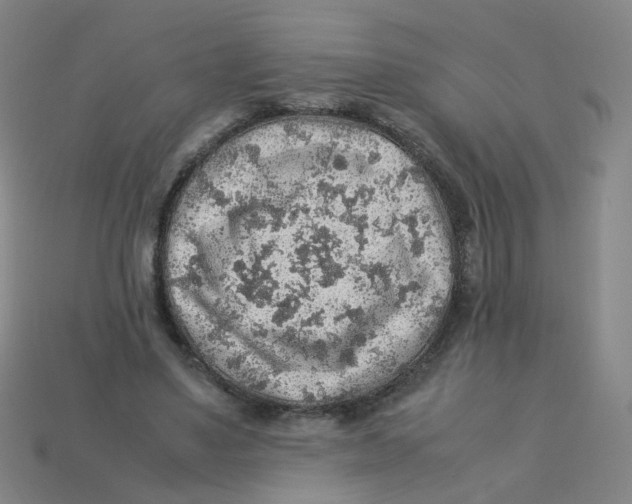 X0000113310491200910131111