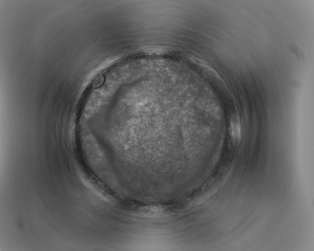 X0000113310492200910131111