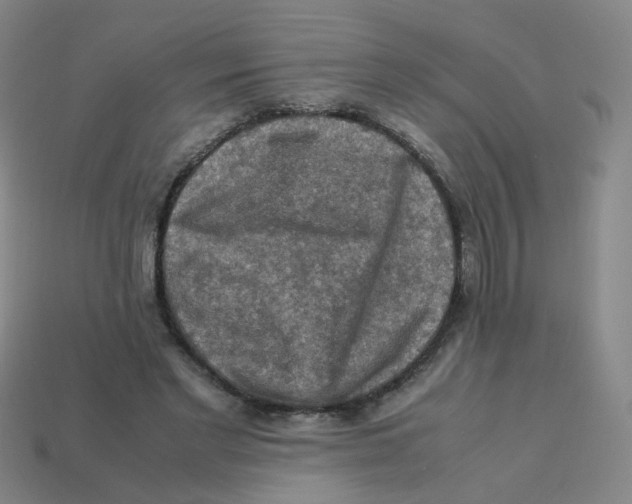 X0000113310493200910131111