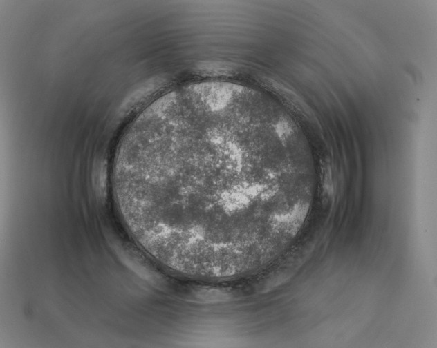 X0000113310494200910131111
