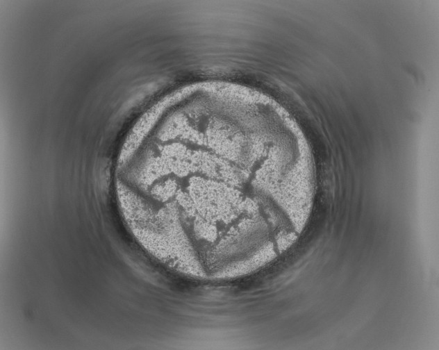X0000113310495200910131111