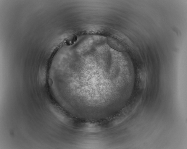 X0000113310496200910131111