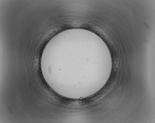 X0000113310497200910131111
