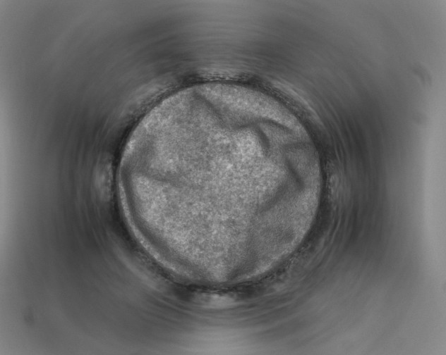 X0000113310498200910131111