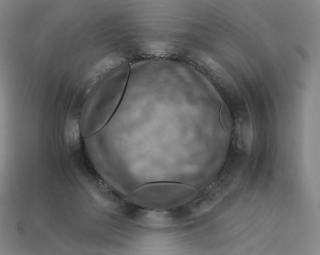 X0000113310500200910131111