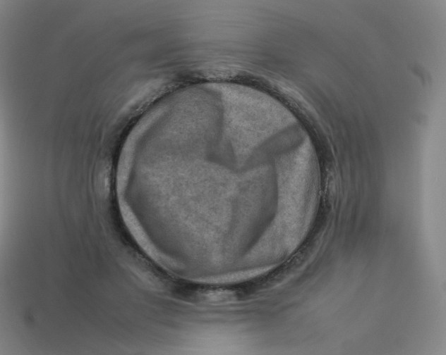 X0000113310501200910131111