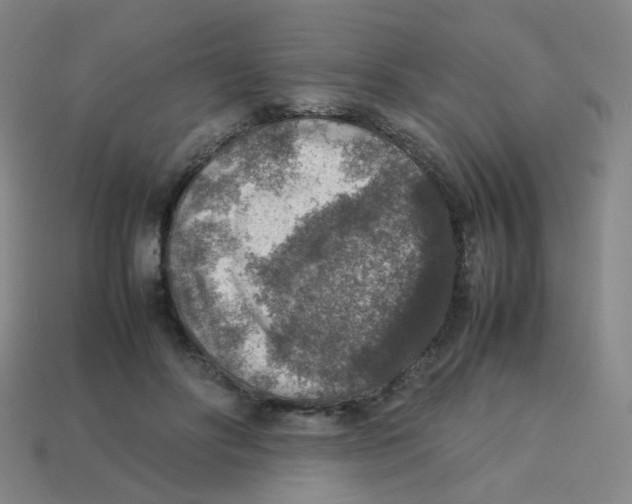 X0000113310502200910131110