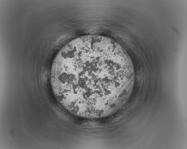 X0000113310503200910131110