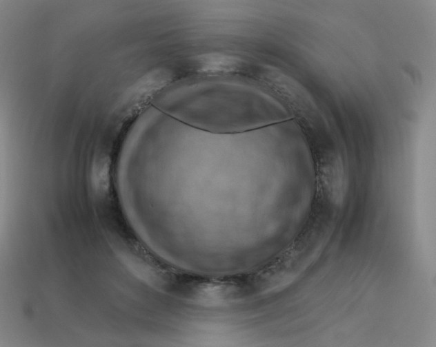 X0000113310504200910131110