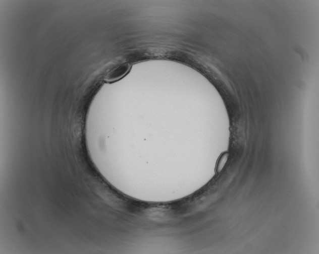 X0000113310505200910131110
