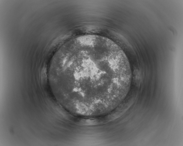 X0000113310506200910131110