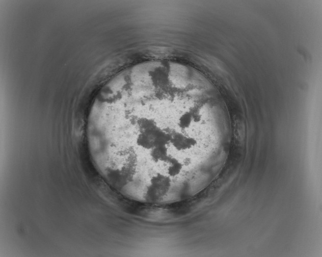 X0000113310507200910131110