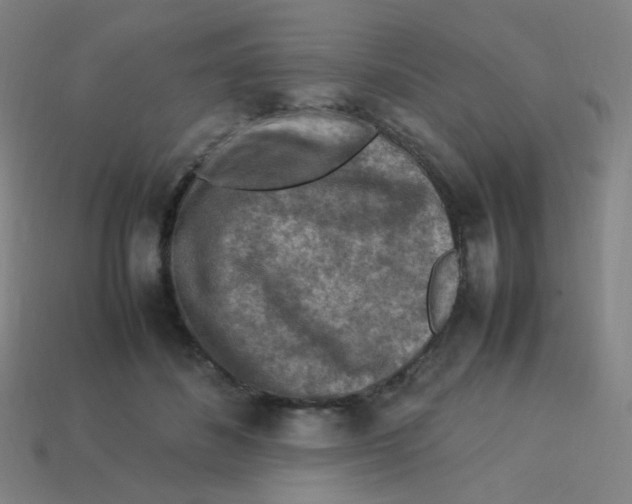 X0000113310508200910131110
