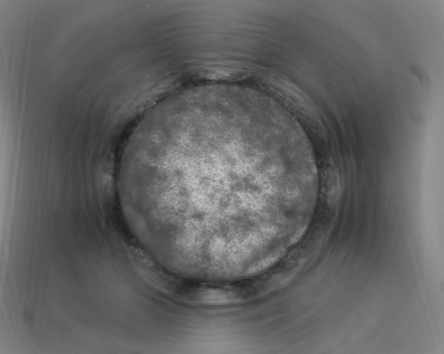 X0000113310510200910131110