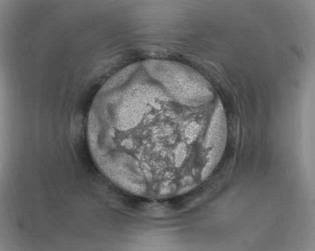 X0000113310511200910131110
