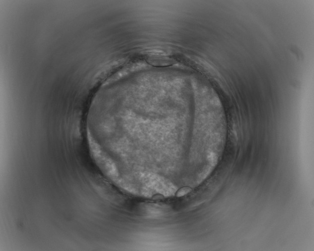 X0000113310512200910131110
