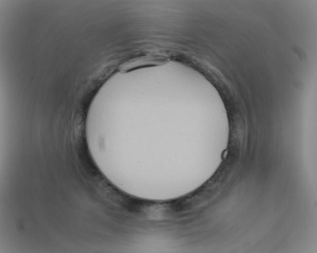 X0000113310513200910131110