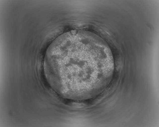 X0000113310515200910131110