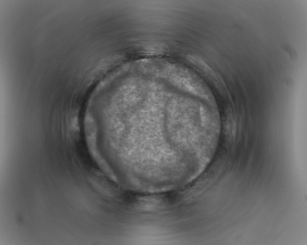 X0000113310516200910131110