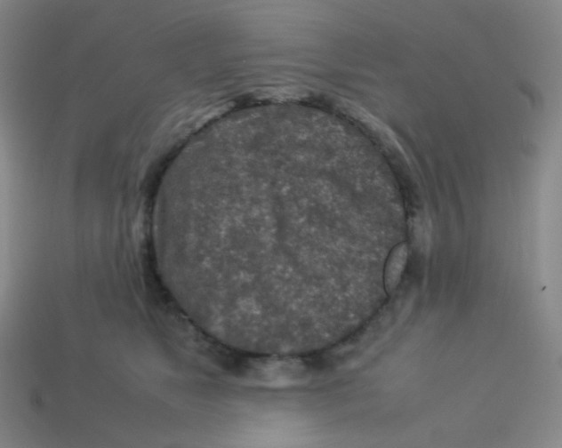 X0000113310517200910131110