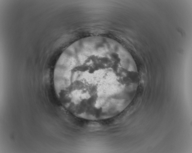 X0000113310519200910131110