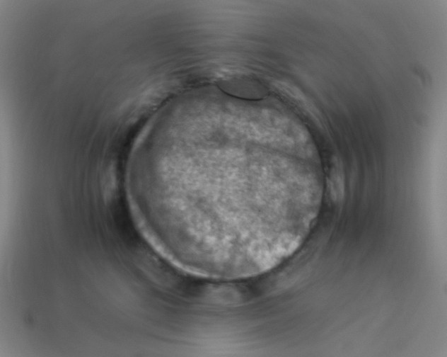 X0000113310520200910131110