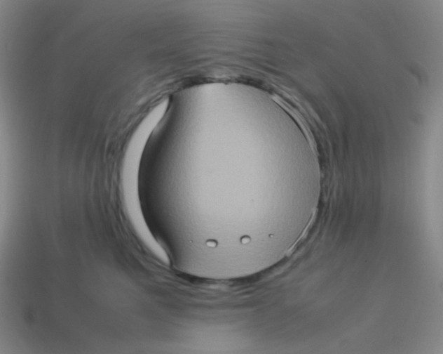 X0000113310521200910131110
