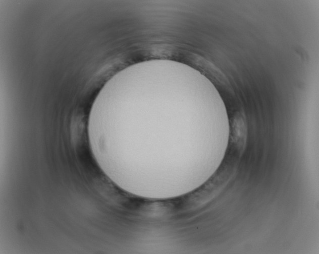 X0000113310522200910131110