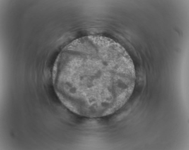 X0000113310523200910131110