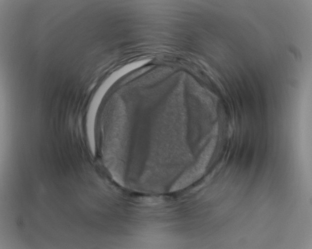 X0000113310524200910131110