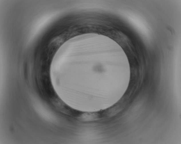 X0000113310526200910131110