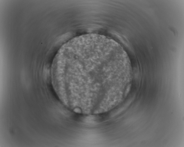 X0000113310527200910131110
