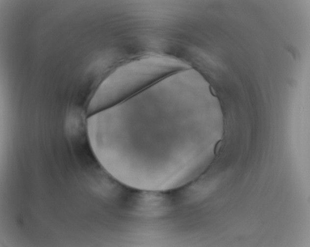 X0000113310528200910131110