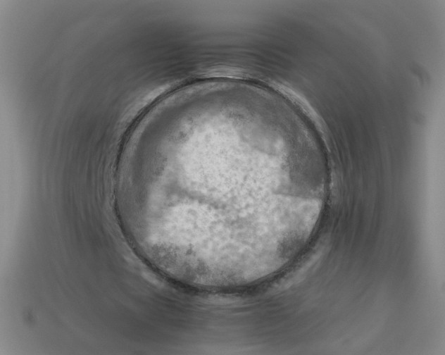 X0000113310529200910131110