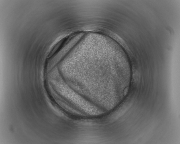 X0000113310530200910131110