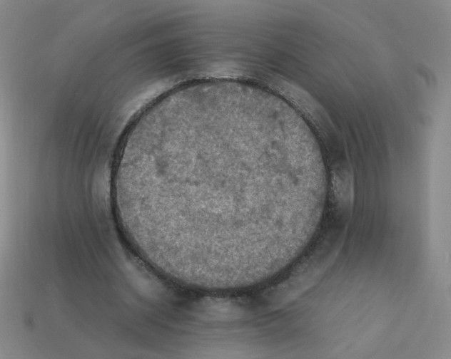 X0000113310534200910131110