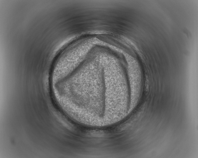 X0000113310535200910131110