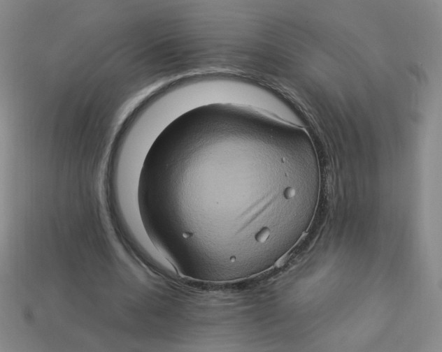 X0000113310536200910131110