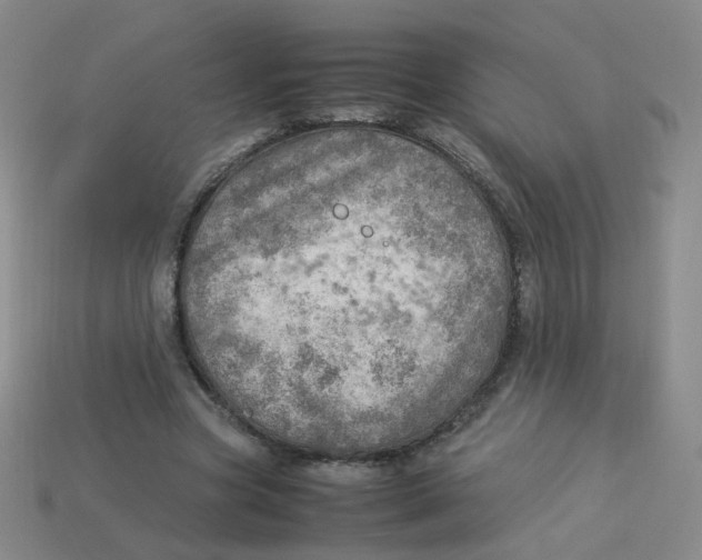 X0000113310537200910131110